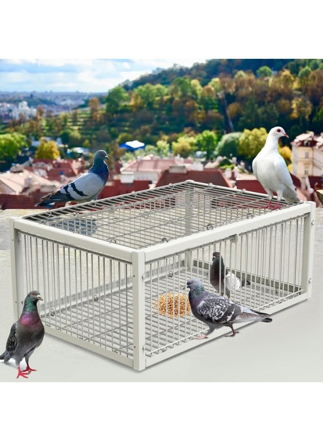 Pigeon trapping cage with one-way entrance (2 doors), bird trapping cage, automatic pigeon trap with a design... - Image 4